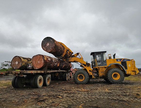 JDB����(�й���)���ٷ���վ