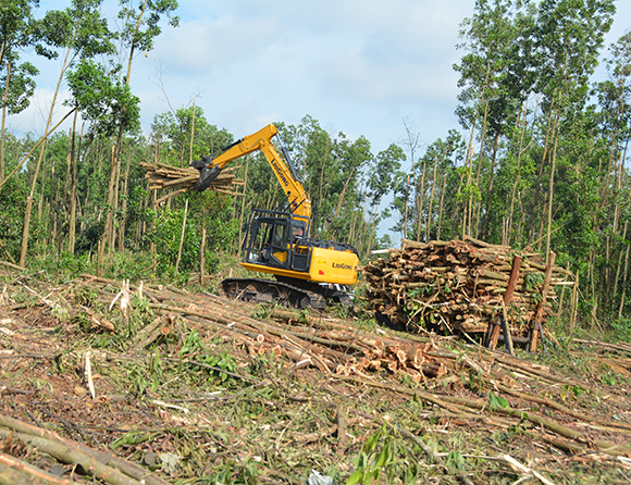 JDB����(�й���)���ٷ���վ