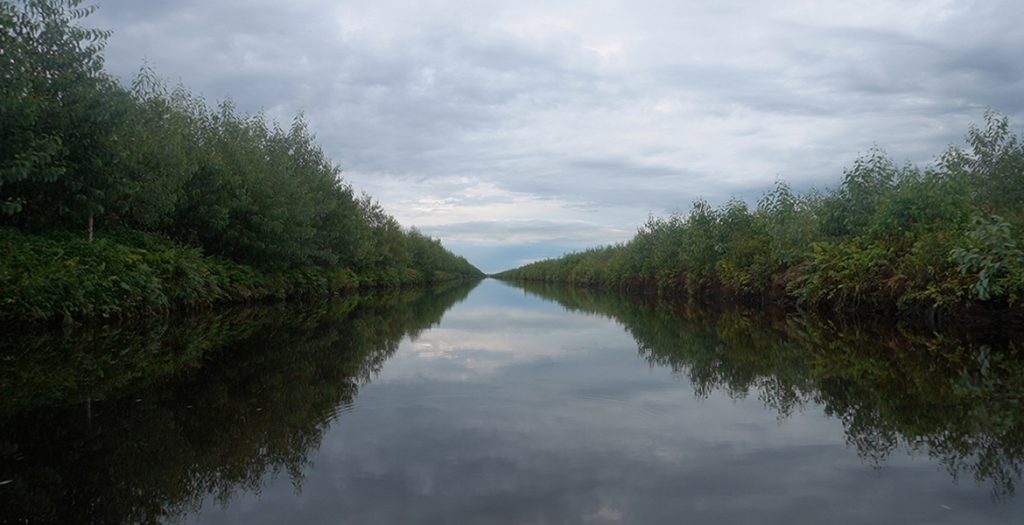 JDB电子(中国区)·官方网站