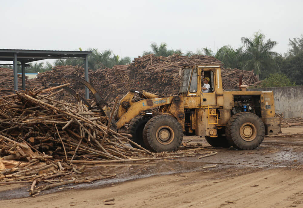 JDB����(�й���)���ٷ���վ