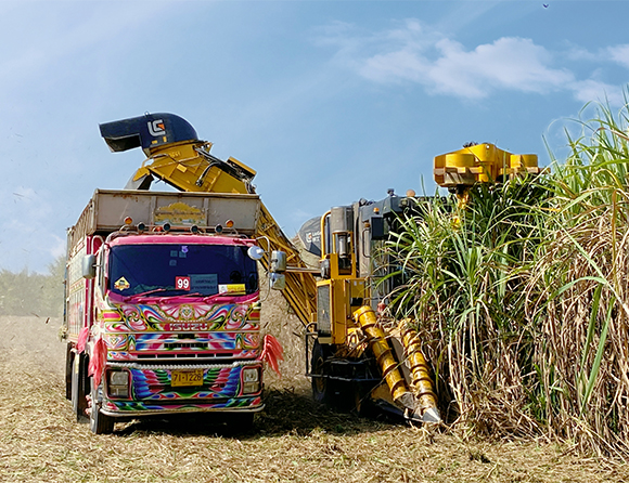 JDB����(�й���)���ٷ���վ