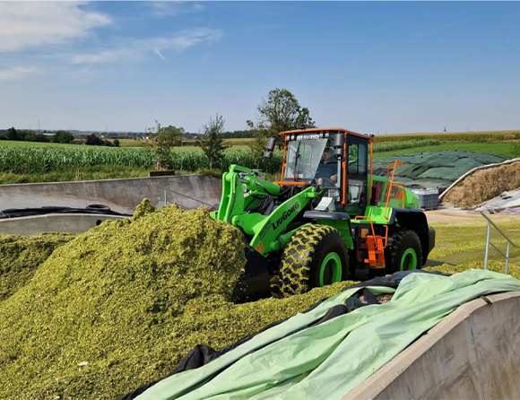 JDB����(�й���)���ٷ���վ